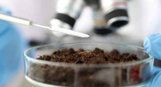 A laboratory employee holds a soil sample in a glass container in front of a microscope and adds white powder